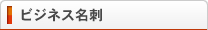 �ӥ��ͥ�̾��