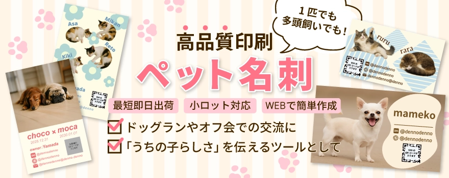 �ڥå�̾�ɰ�������������Ǿ̾�ɤˤ�Ǥ����������